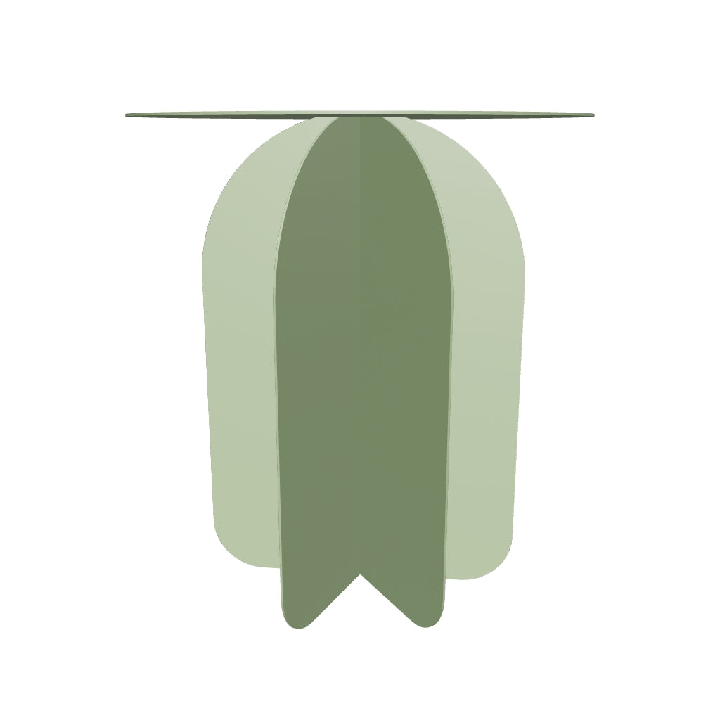 Cacti S Yan Sehpa