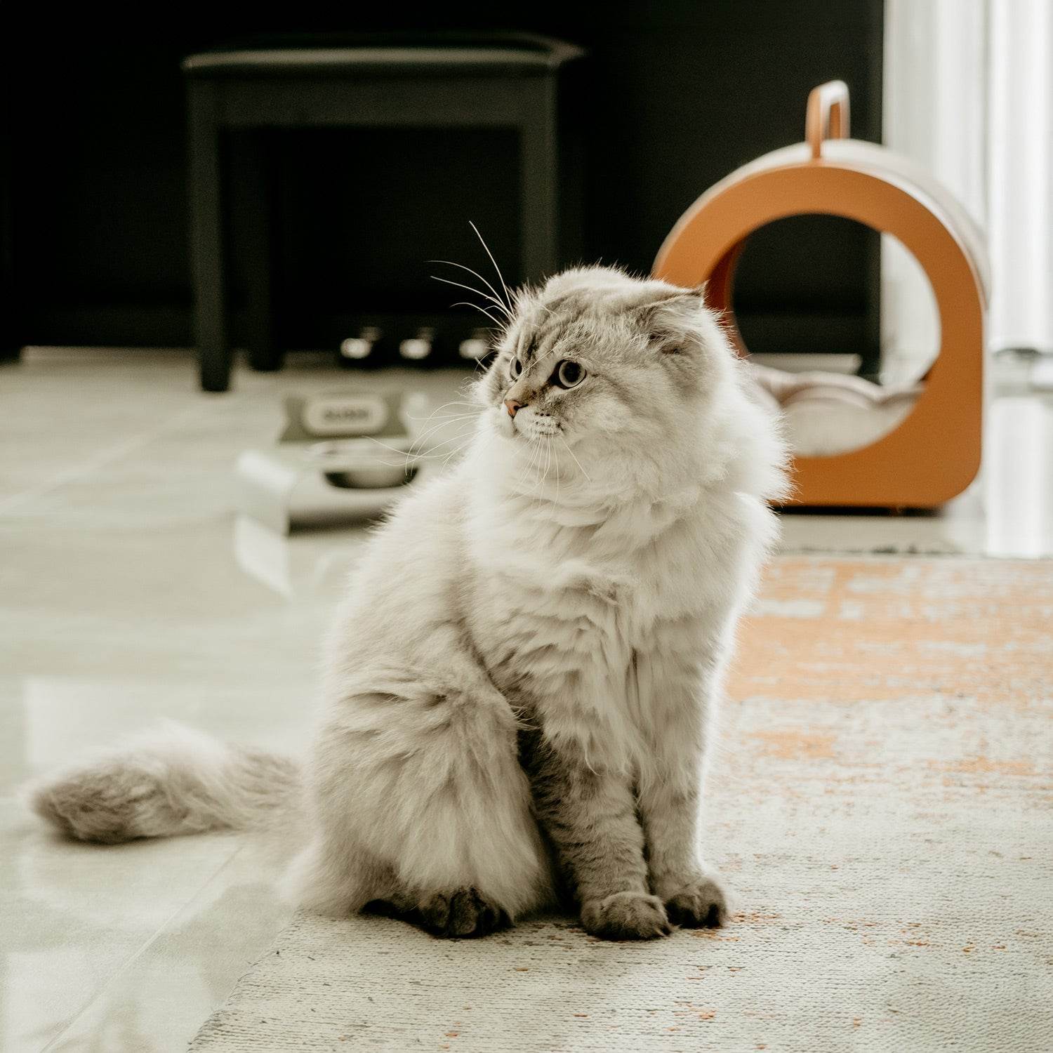 Purr Kedi Evi - Evcil Hayvan Ürünleri Modelleri - Oobje Design