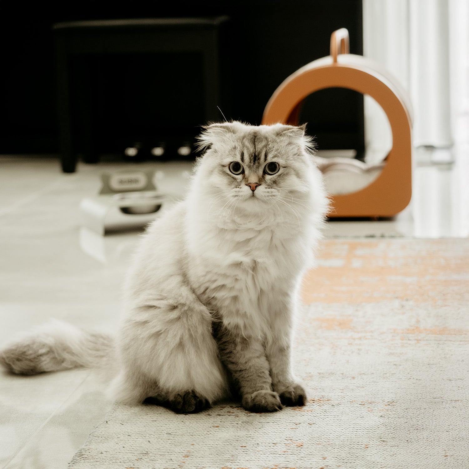 Purr Mama Kabı