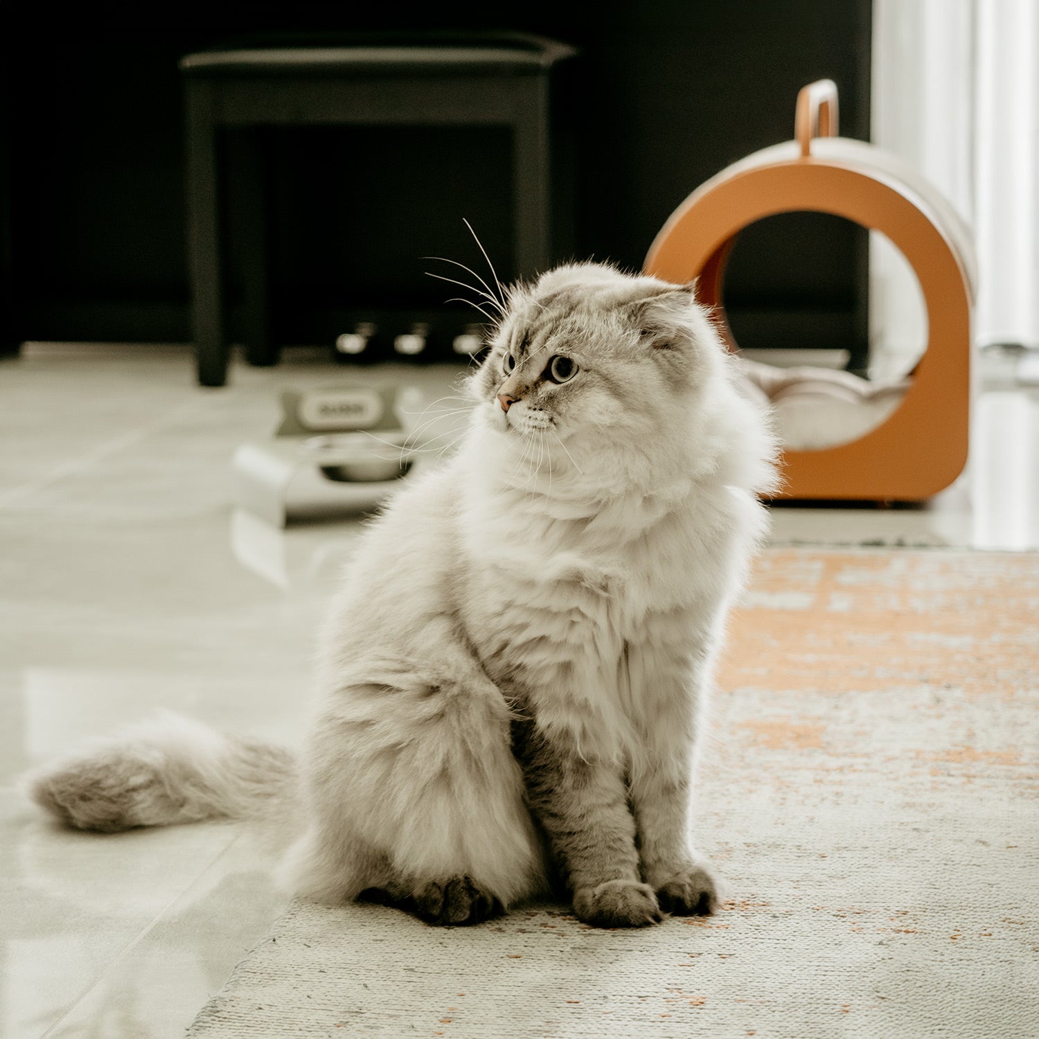 Purr Mama Kabı