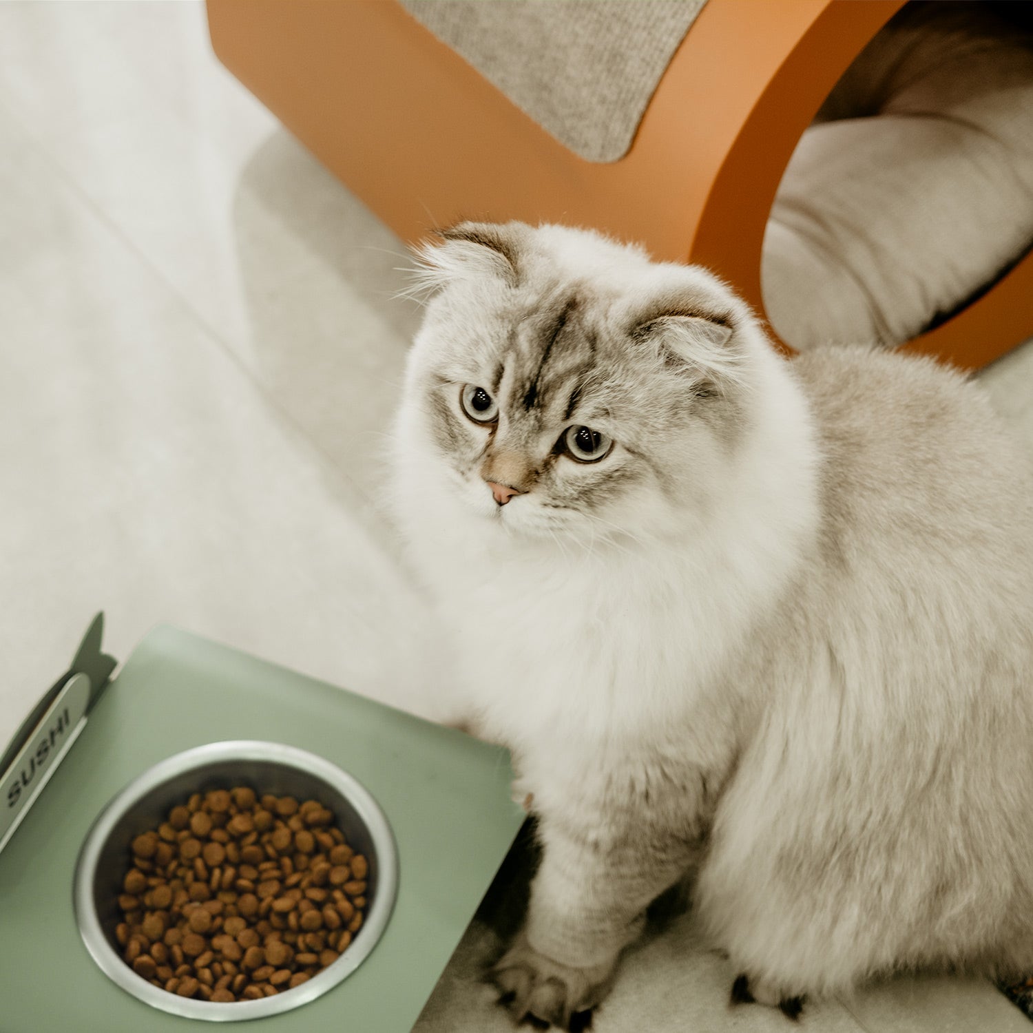 Purr Mama Kabı