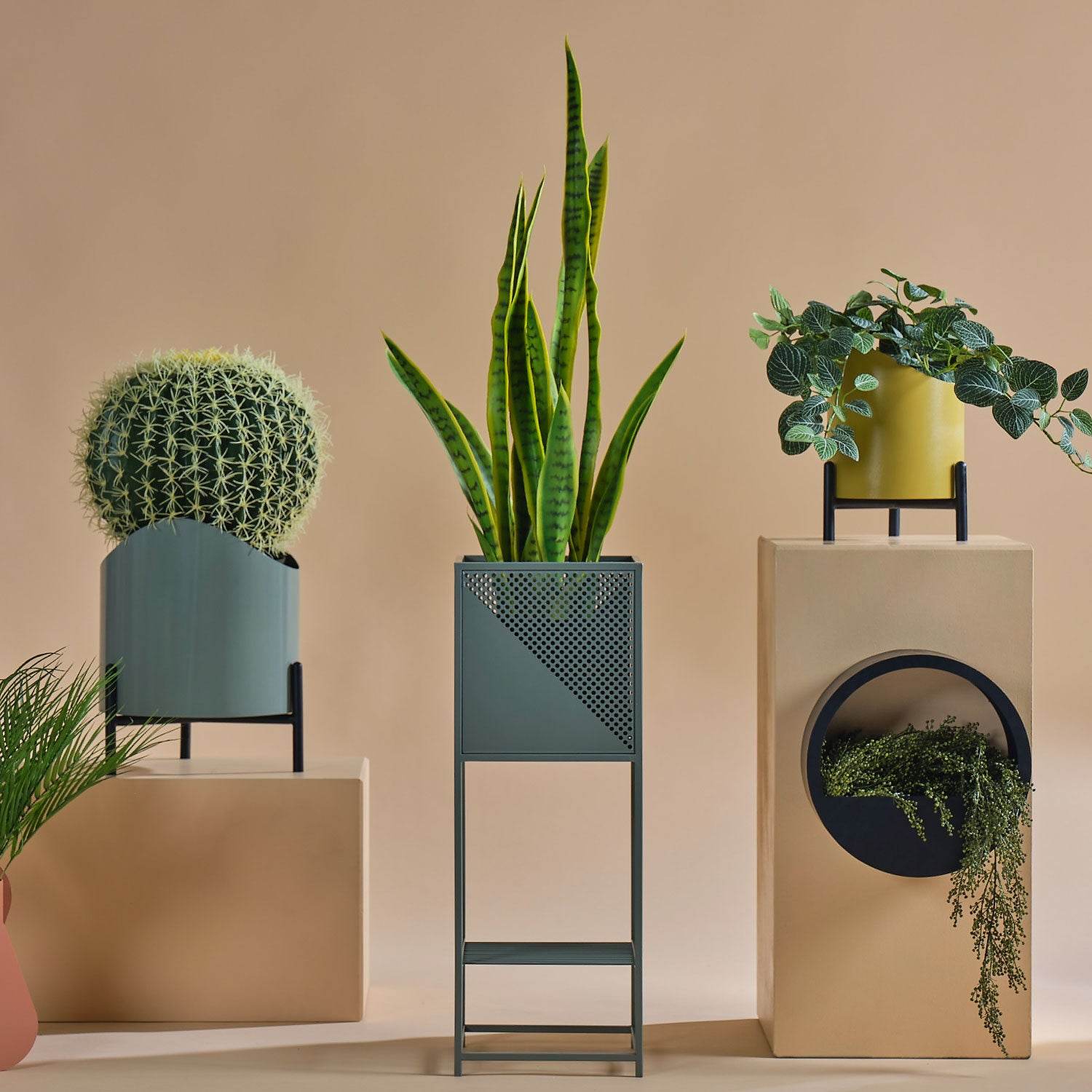 Saksılar - Oobje Design