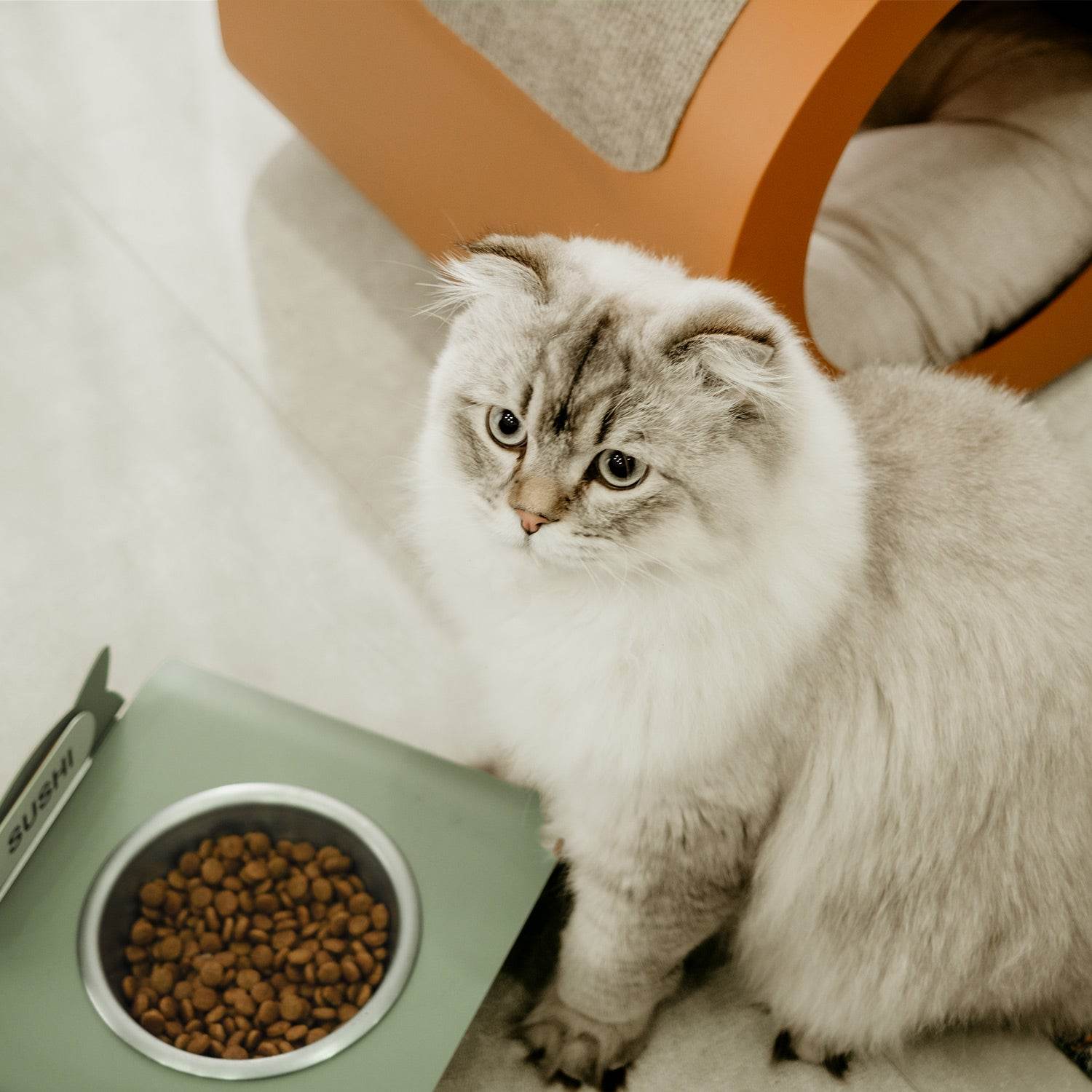 Purr Kedi Evi - Evcil Hayvan Ürünleri Modelleri - Oobje Design
