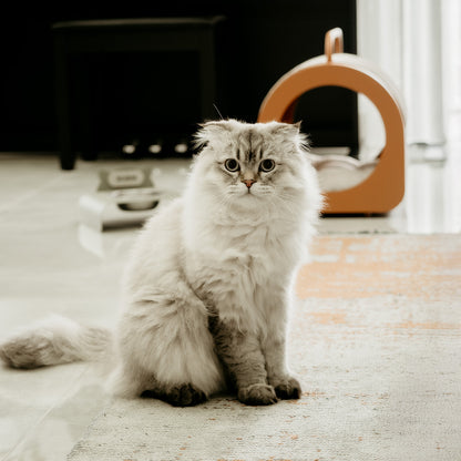 Purr Mama Kabı