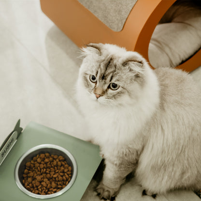 Purr Mama Kabı